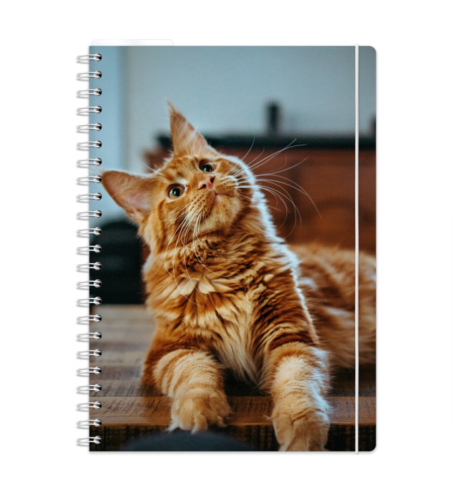 Product Image for Planner - Spiral Binding - Size A4
