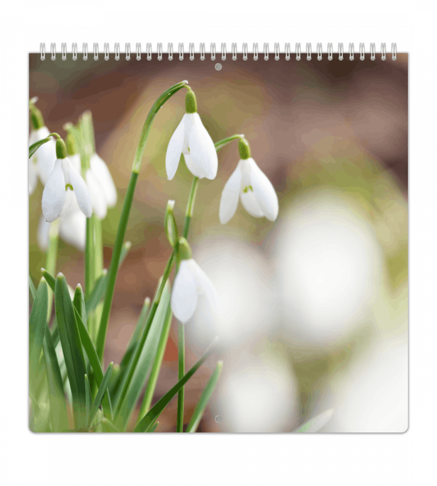 Family Planner - Weekly Overview