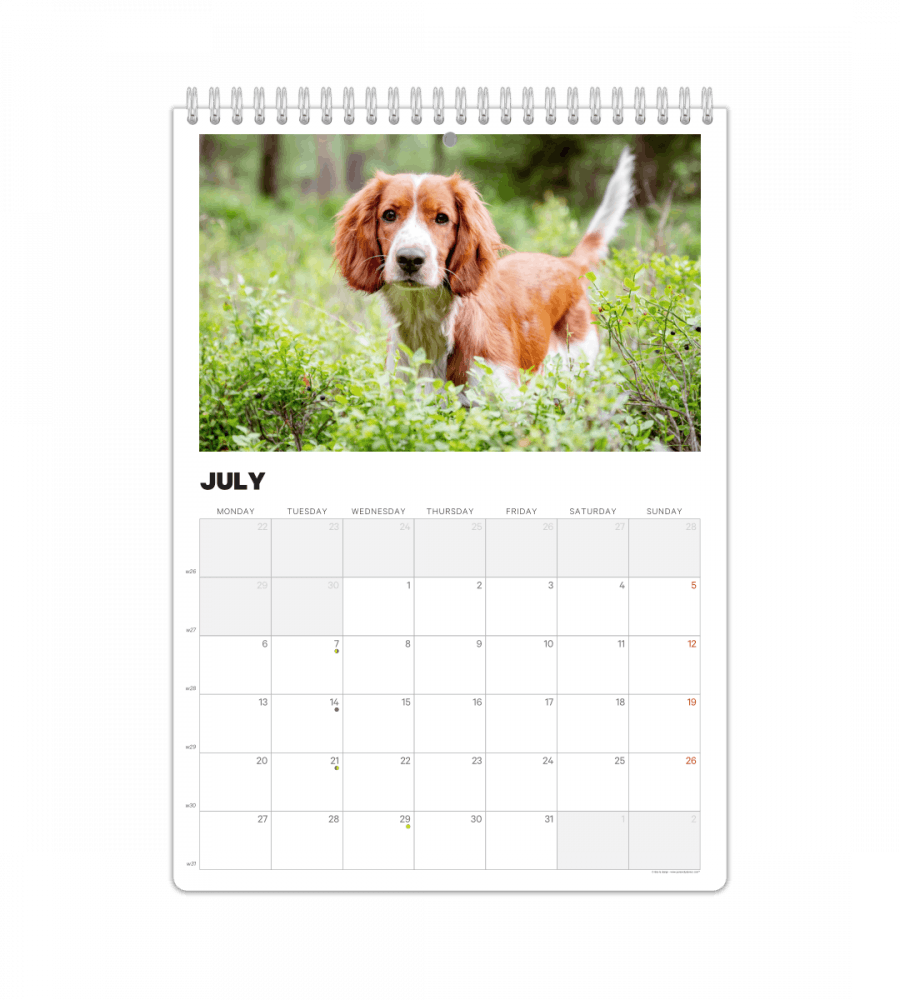 Photo Calendar