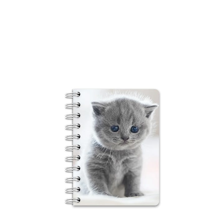 Planner Mini spiral bound